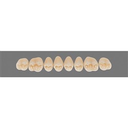 Vita Vitapan 3D, Upper, Posterior, Cuspiform, Shade 1M1, Mould 43CU