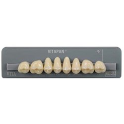 Vita Vitapan Classical Upper, Posterior, Cuspiform, Shade A2, Mould 42C