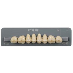 Vita Vitapan Classical Upper, Posterior, Cuspiform, Shade A3, Mould 40C