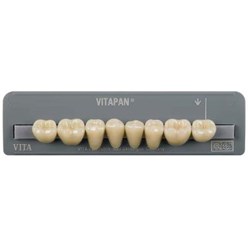 Vita Vitapan Classical Lower, Posterior, Cuspiform, Shade A3, Mould 41C