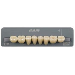 Vita Vitapan Classical Lower, Posterior, Synoform, Shade A3.5, Mould 10S