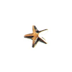 Twinkles Star Large Gold 22k