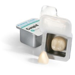 Solventum (Formally 3M) Protemp Crown - Preformed Temporary Crowns - Molar Lower Small A2, 5-Pack