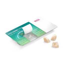 Vita VIONIC VIGO - Posterior - Shade B3, Mould 24L - OK Upper