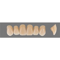 Vita Vitapan EXCELL Classical, Upper, Anterior, Shade A1, Mould T54