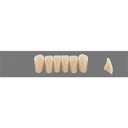 Vita Vitapan EXCELL Classical, Lower, Anterior, Shade B3, Mould L35