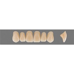Vita Vitapan EXCELL Classical, Upper, Anterior, Shade D2, Mould T47