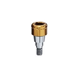 Locator Abutment Straumann BLX RB WB 2mm Height