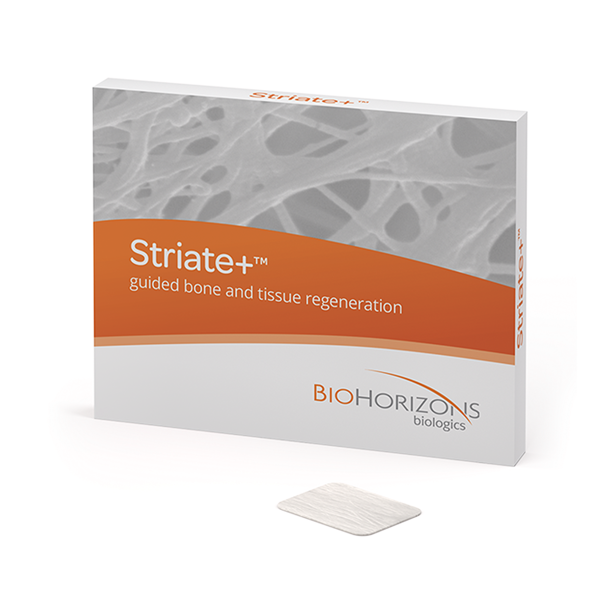 Striate+