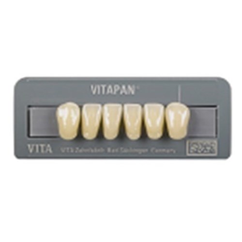 Vita Vitapan 3D, Lower, Anterior, Shade 1M1, Mould L13