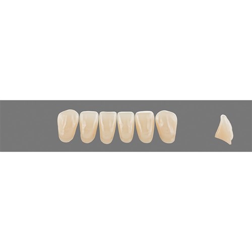 Vita Vitapan 3D, Lower, Anterior, Shade 2R15, Mould L10