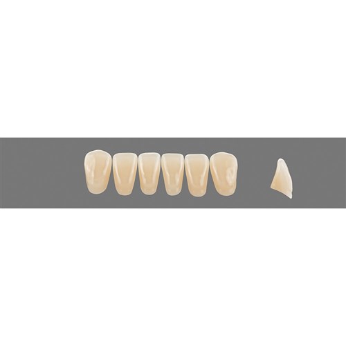 Vita Vitapan 3D, Lower, Anterior, Shade 2R15, Mould L13