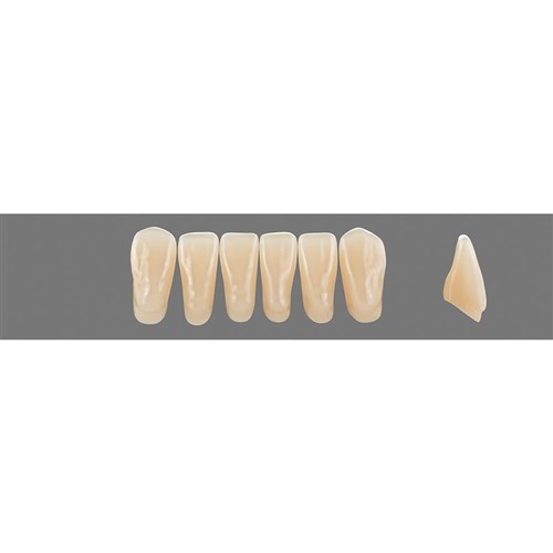 Vita Vitapan 3D, Lower, Anterior, Shade 2R15, Mould L15