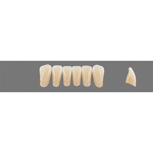 Vita Vitapan 3D, Lower, Anterior, Shade 2R15, Mould L5