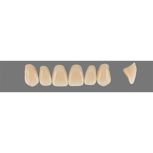 Vita Vitapan 3D, Upper, Anterior, Shade 2R15, Mould T88