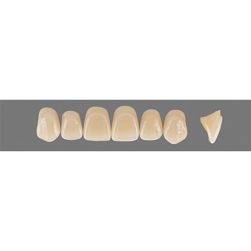 Vita Vitapan 3D, Upper, Anterior, Shade 2R15, Mould X96