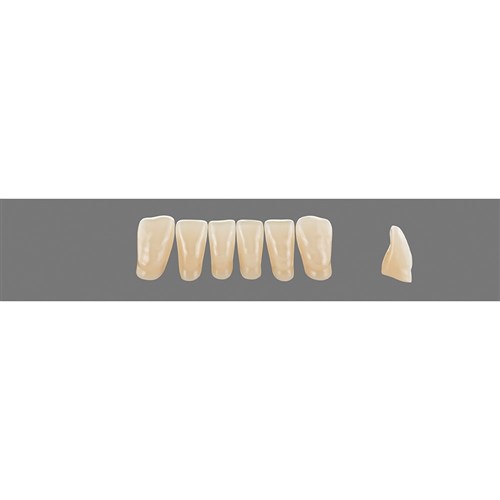 Vita Vitapan 3D, Lower, Anterior, Shade 3R15, Mould L4