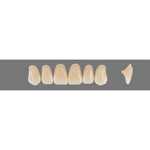 Vita Vitapan 3D, Upper, Anterior, Shade 3R15, Mould T36