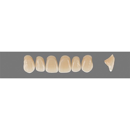 Vita Vitapan 3D, Upper, Anterior, Shade 3R15, Mould T56