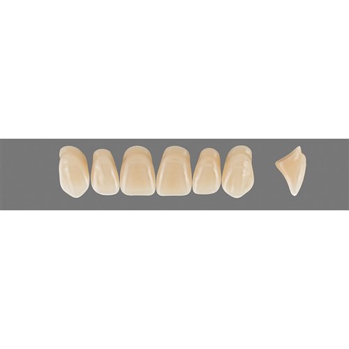 Vita Vitapan 3D, Upper, Anterior, Shade 3R15, Mould T77