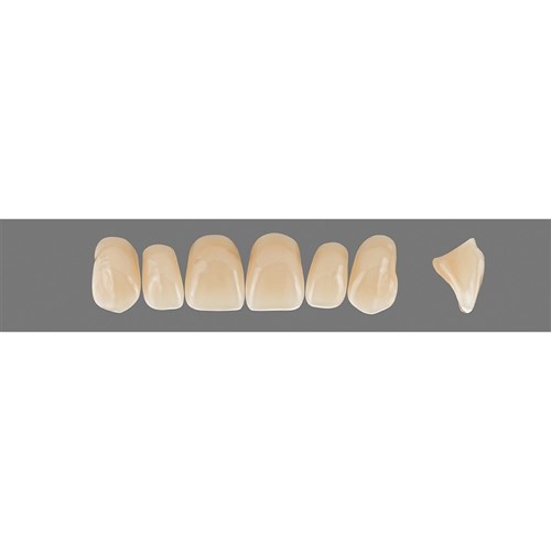 Vita Vitapan 3D, Upper, Anterior, Shade 3R15, Mould X66