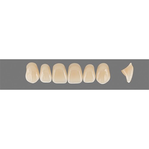 Vita Vitapan 3D, Upper, Anterior, Shade 3R15, Mould X77