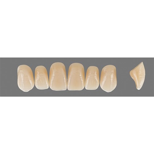 Vita Vitapan Plus Upper, Anterior, Shade B2, Mould T54