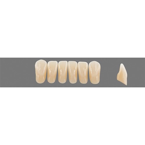 Vita Vitapan Plus Lower, Anterior, Shade B3, Mould L37L