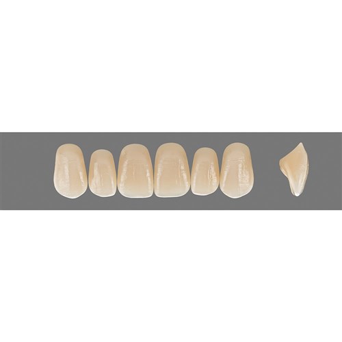 Vita Vitapan Plus Upper, Anterior, Shade B3, Mould O49