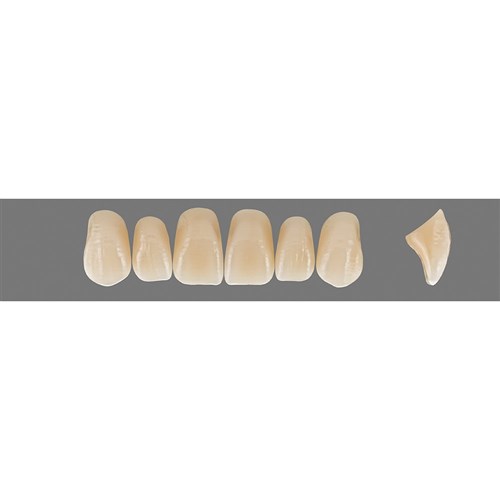 Vita Vitapan Plus Upper, Anterior, Shade B3, Mould T47