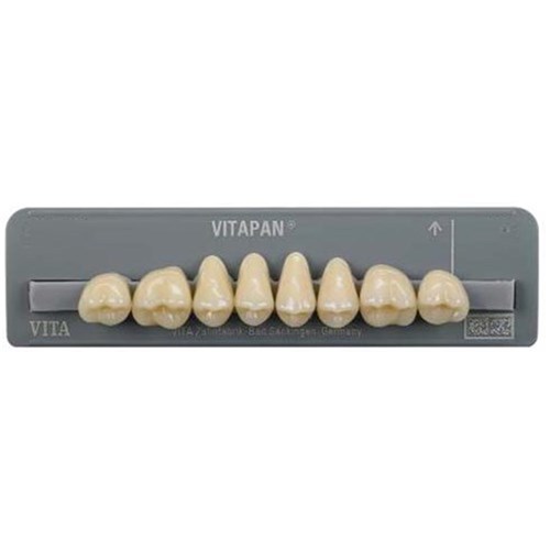 Vita Vitapan Classical Upper, Anterior, Shade B4, Mould Z61