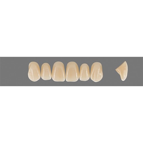 C2 Upper T44 Vitapan Plus