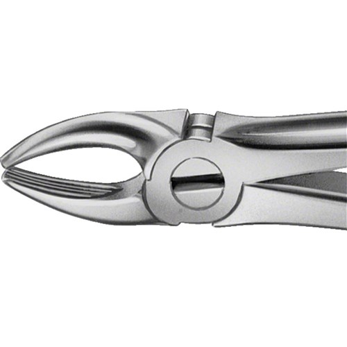 Aesculap Forceps - Upper Crowded Incisors and Canines - DG025R