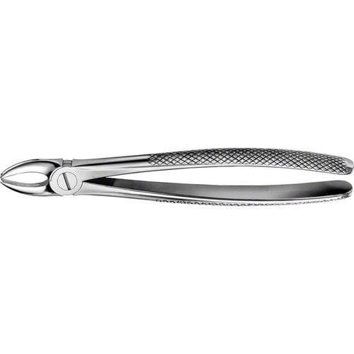 Aesculap Forceps #168 - TROTTER - Upper Canines - DG030R