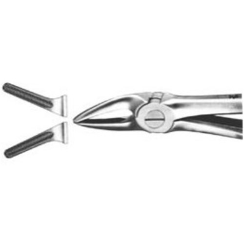 Aesculap Forceps #30 - Upper Roots - DG320R