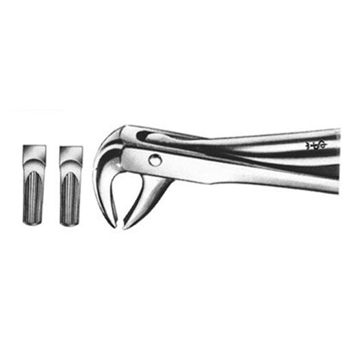 Aesculap Forceps #75 - Lower Canines and Bicuspids - DG440R