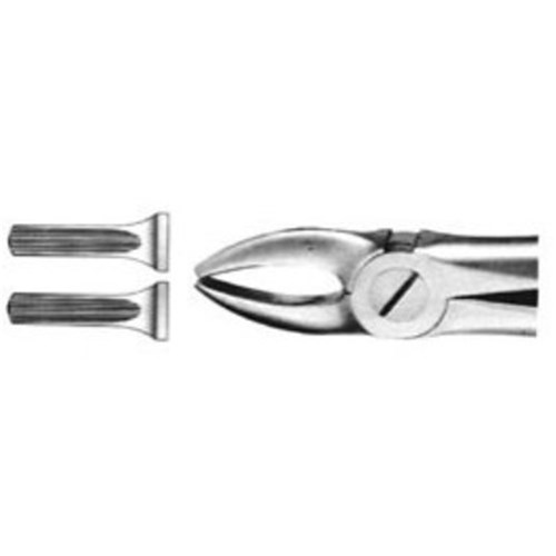 Aesculap Forceps #2 - Upper Incisors and Canines - DG005R