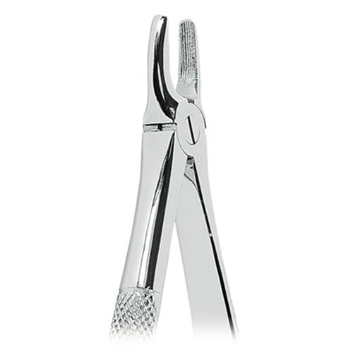 FORCEPS #2 Upper Incisors & Canines
