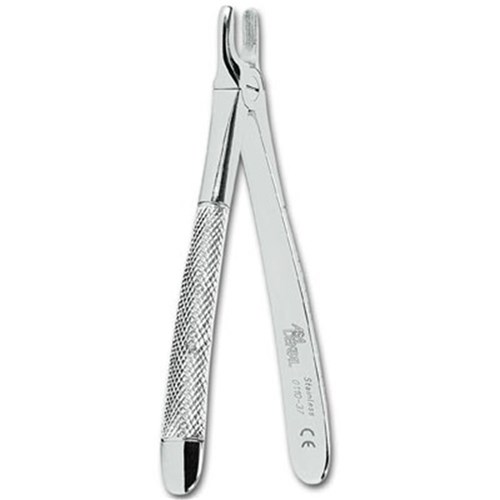 FORCEPS #37 Upper Incisors for children