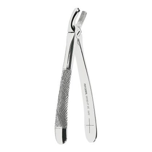 ASAlady Extracting FORCEPS upper molars right