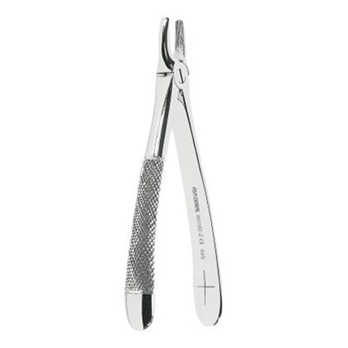 ASAlady Extracting FORCEPS upper incisors and canines