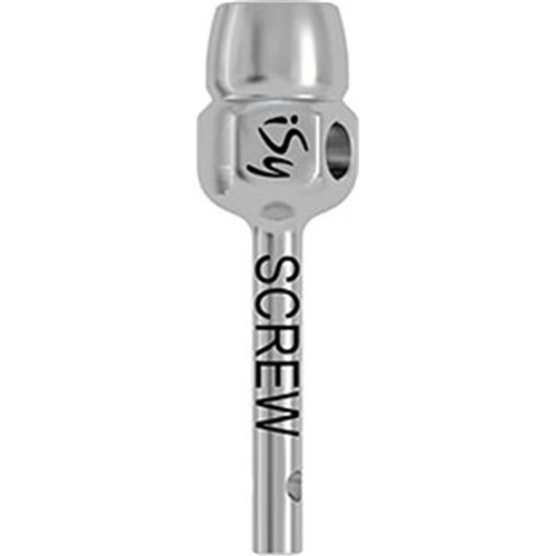 iSy Abutment Screwdriver Wrench Short