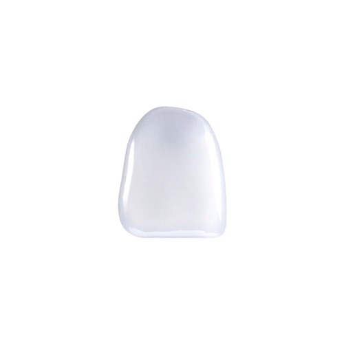 Coltene Brilliant Componeer - Prefabricated Composite Shells - Shade Translucent - XL12, 1-Pack