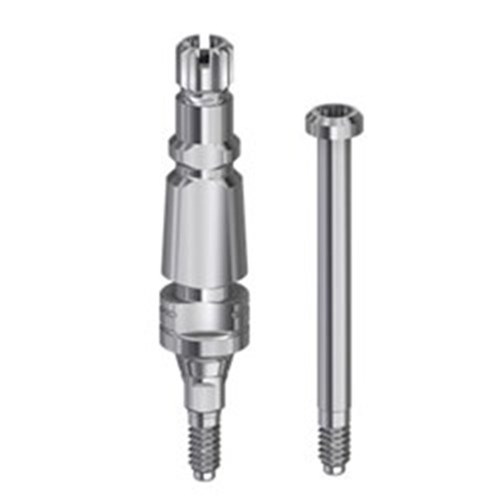 Strau BL NC coping
