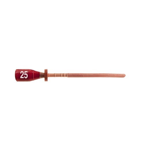 25
