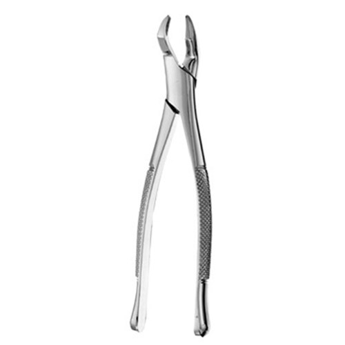 thumbnail image 2 of S.S Dental Extracting Forceps #210S – Stainless Steel, Atraumatic, Surgical Grade 2 of 5