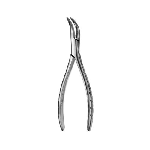 FORCEPS  #301 Serrated Lower Roots