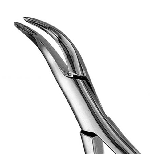 FORCEPS  #301 Serrated Lower Roots