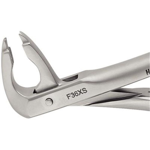 FORCEPS Atraumair #36 Lower Incisors