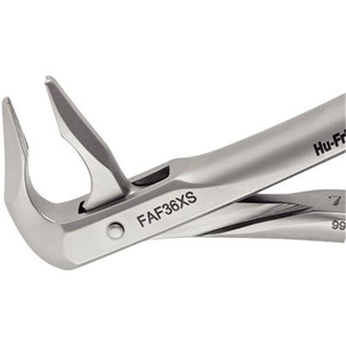 FORCEPS Atraumair #36 Apical Lower Premolars & Incisors